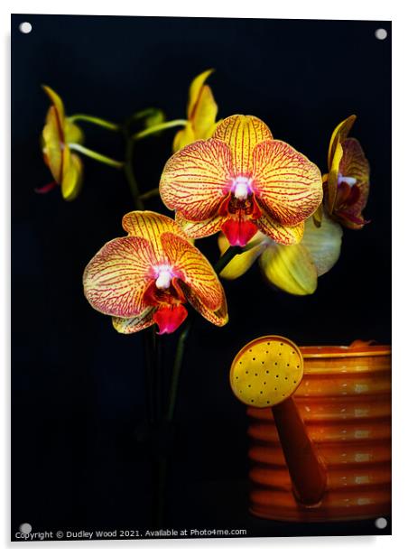 Vibrant Yellow Orchid Acrylic by Dudley Wood