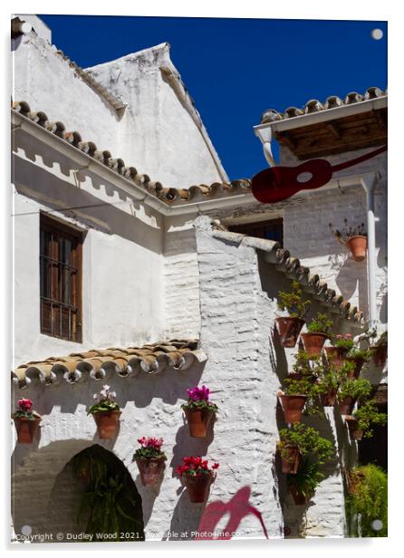 Ornate Cordoba Architecture Acrylic by Dudley Wood