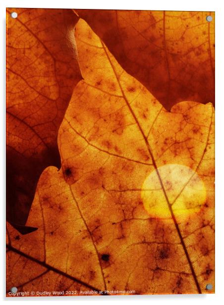 Golden Glow Leaf Acrylic by Dudley Wood