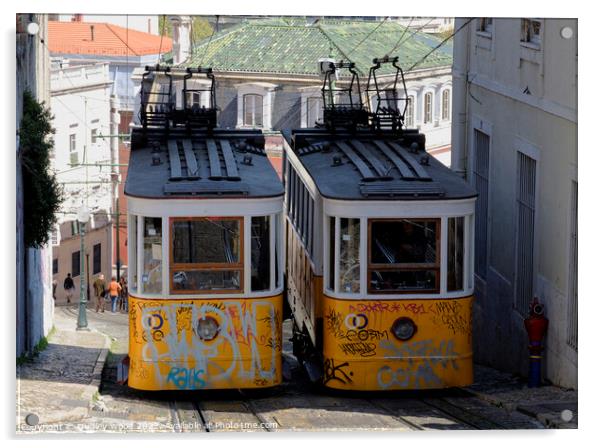 funicular trams Acrylic by Dudley Wood