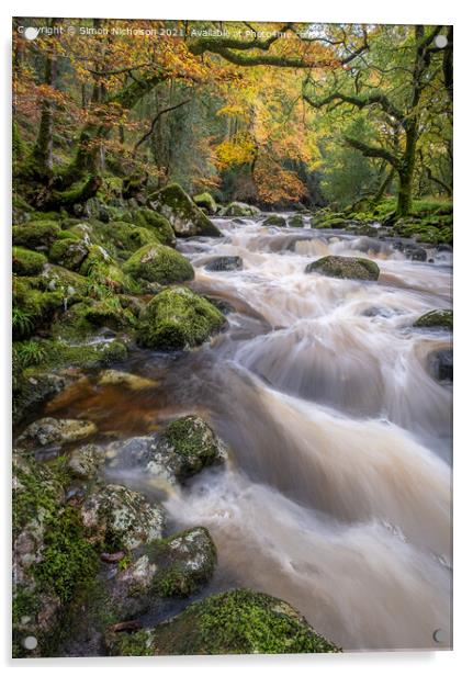 Autumn on the River Plym, Dewerstone woods. Dartmoor.Uk Acrylic by Simon Nicholson