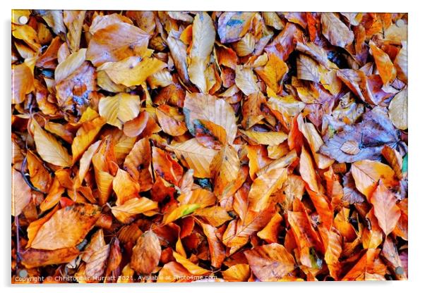 Autumn leaves Acrylic by Christopher Murratt