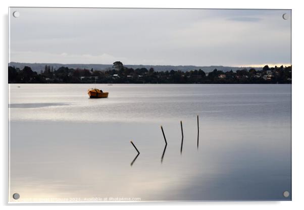 Lake Rotorua Twilight Acrylic by Errol D'Souza