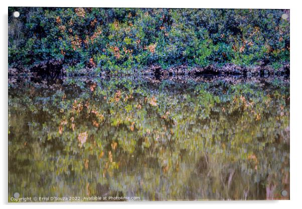 Berowra Creek Reflections Acrylic by Errol D'Souza