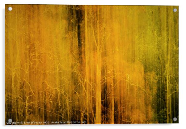 Ethereal and Mysterious Woodlands Acrylic by Errol D'Souza
