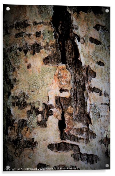 Abstract Lichen and Tree Bark Design Acrylic by Errol D'Souza
