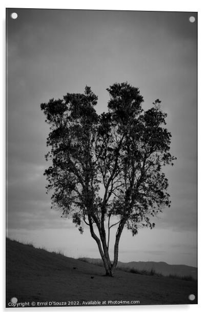 Lone Tree Stands Tall on a Hill Acrylic by Errol D'Souza