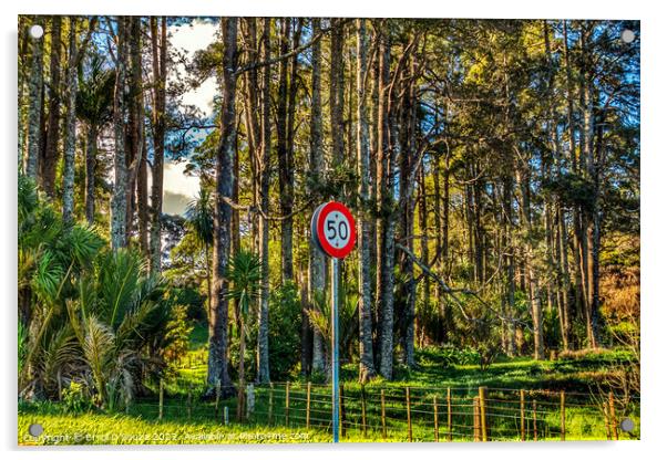 50 speed limit sign against a pine forest Acrylic by Errol D'Souza