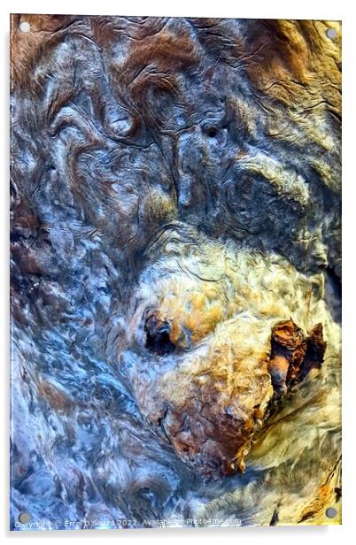 Breaking through abstract bark Acrylic by Errol D'Souza