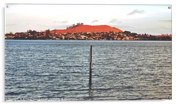 Mangere Mountain across the Manukau Harbour Acrylic by Errol D'Souza