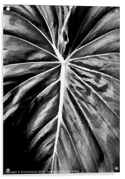 Leaf Close Up Acrylic by Errol D'Souza