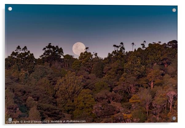 Moonrise over Matapouri Bay Acrylic by Errol D'Souza