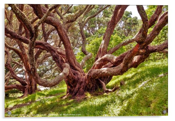 Large Tree in the Woodlands Acrylic by Errol D'Souza