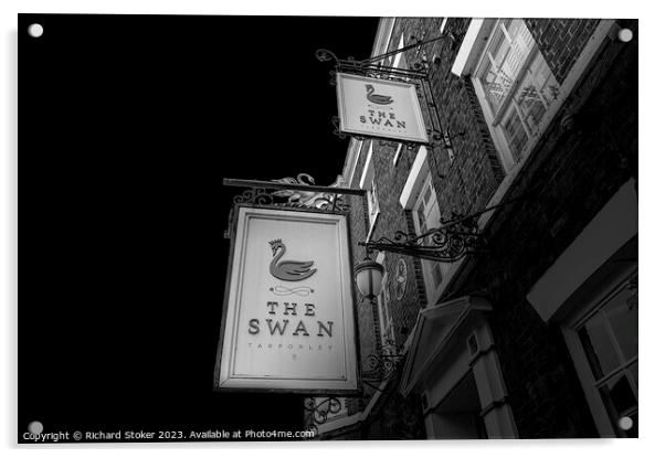 The Swan Acrylic by Richard Stoker