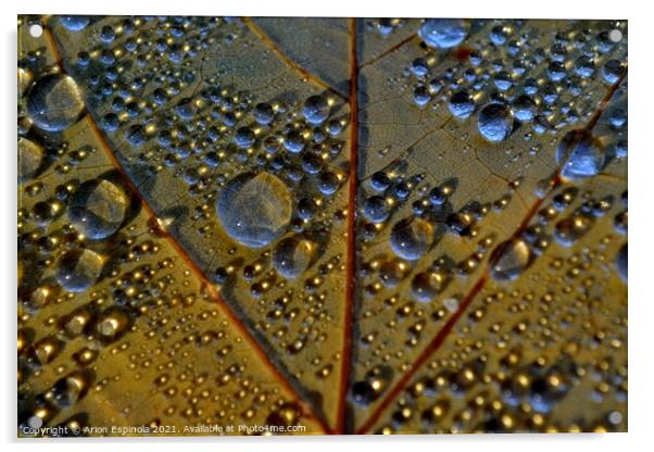 Autumn droplets  Acrylic by Arion Espinola