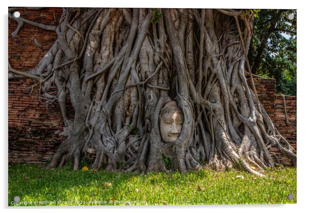 Wat Mahathat in Ayutthaya Thailand Southeast Asia Acrylic by Wilfried Strang