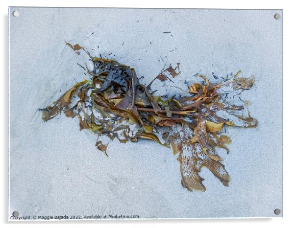 Seaweed on White Sand Acrylic by Maggie Bajada