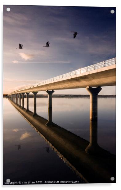 Clackmannanshire Bridge and travellers Acrylic by Tim Shaw