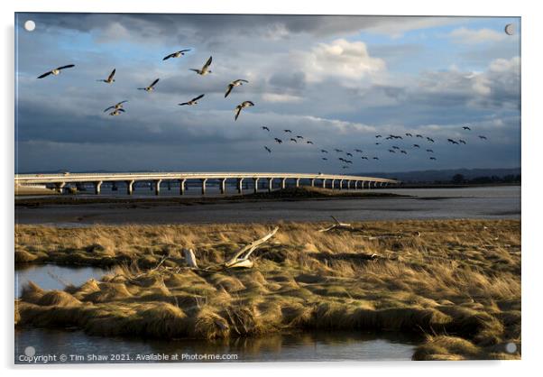 The Long Bridge Acrylic by Tim Shaw
