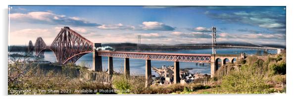 Forth Road Bridge High view Acrylic by Tim Shaw