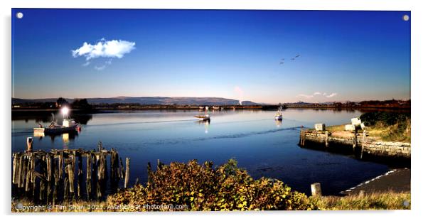 Alloa Harbour in the Morning Light  Acrylic by Tim Shaw