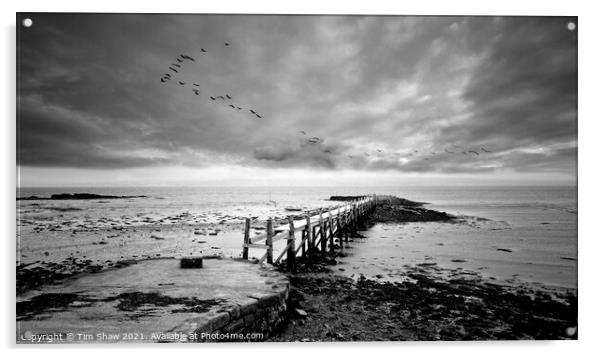 Culross Pier in Black & White Acrylic by Tim Shaw