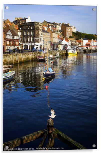 Whitby Harbour with a Gull Acrylic by Ian Miller