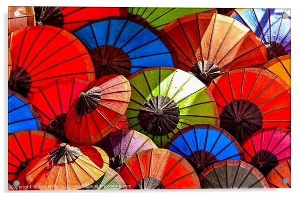 Paper Brollies Acrylic by Ian Miller