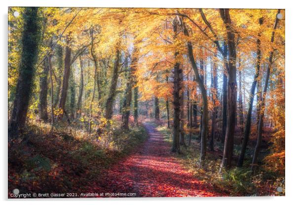 Autumn Path Acrylic by Brett Gasser