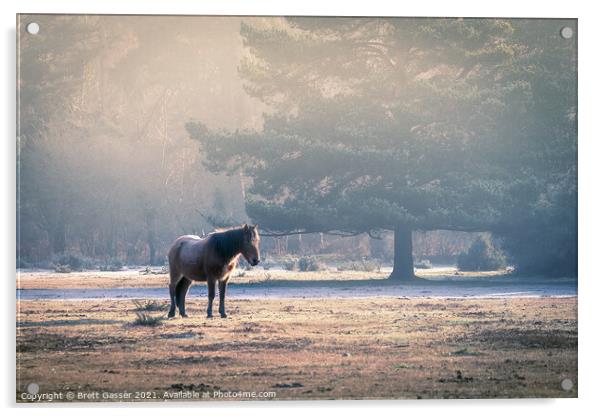 Lonely Pony Acrylic by Brett Gasser