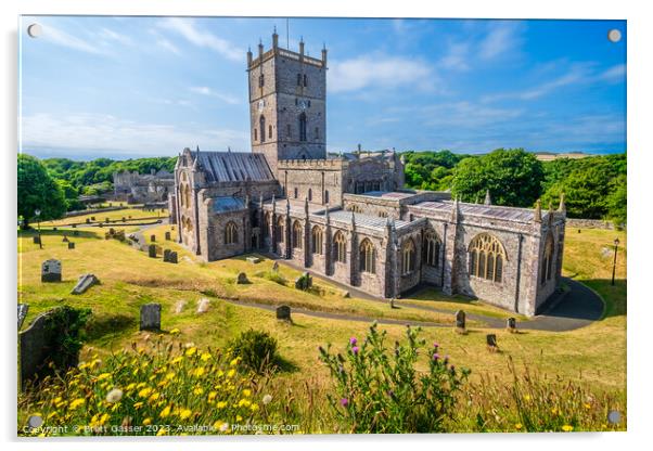 St Davids Cathedral  Acrylic by Brett Gasser