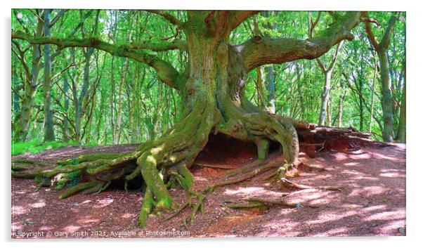 Old Oak Root Den Acrylic by GJS Photography Artist