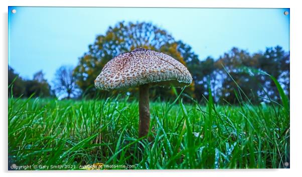 Medusa Mushroom Standing Tall  Acrylic by GJS Photography Artist