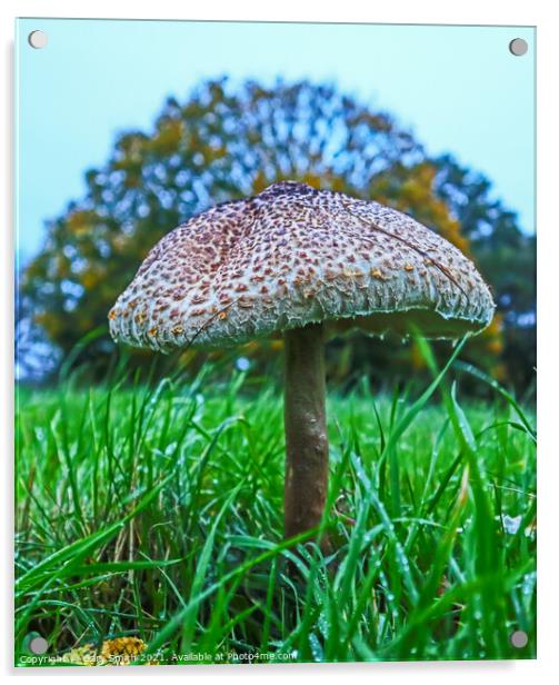 Majestic Medusa Mushroom Acrylic by GJS Photography Artist