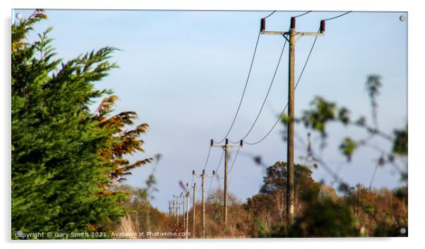 Power Lines Neatly In Order Acrylic by GJS Photography Artist