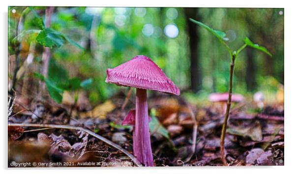 Rosy Bonnet Mushroom  Acrylic by GJS Photography Artist