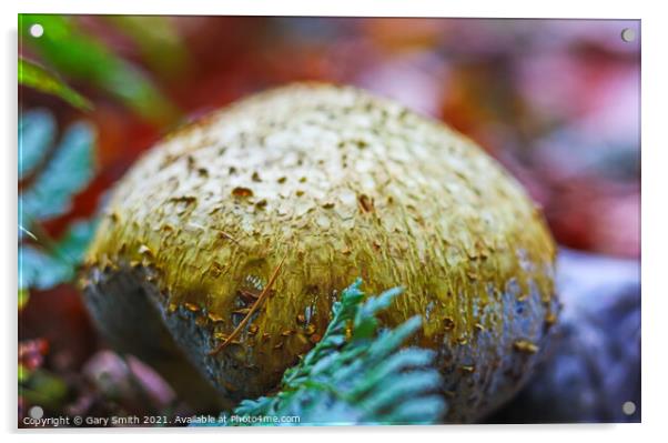 Common Earth Ball  Acrylic by GJS Photography Artist