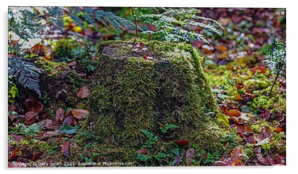 Tree Stump with Green Hair! Acrylic by GJS Photography Artist