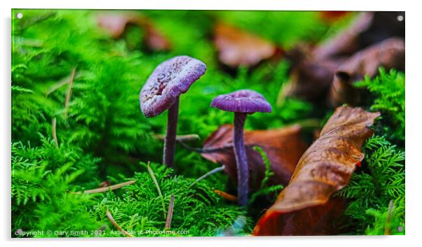 Amethyst Deceiver Acrylic by GJS Photography Artist