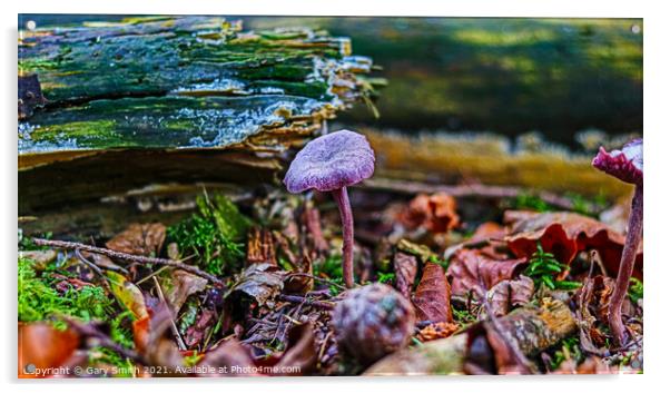 Amethyst Deceiver  Acrylic by GJS Photography Artist