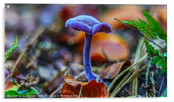 Amethyst Deceiver  Acrylic by GJS Photography Artist
