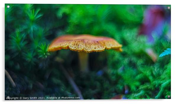 Orange Grisette Mushroom Acrylic by GJS Photography Artist