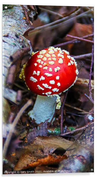 Fly Agaric (Alice in Wonderland) Acrylic by GJS Photography Artist