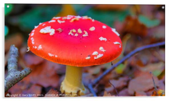 Fly Agaric (Alice in Wonderland) HDR Acrylic by GJS Photography Artist