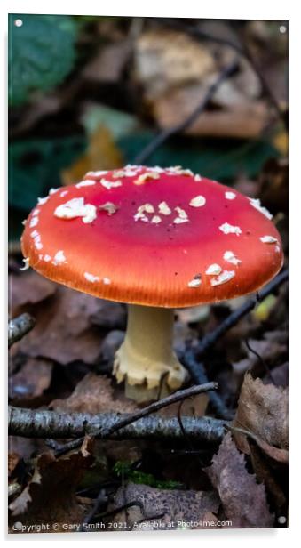 Fly Agaric (Alice in Wonderland) & Dying Fly Acrylic by GJS Photography Artist