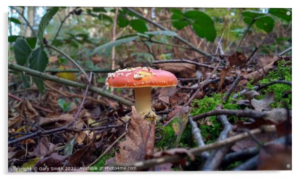 Fly Agaric (Alice in Wonderland) Acrylic by GJS Photography Artist