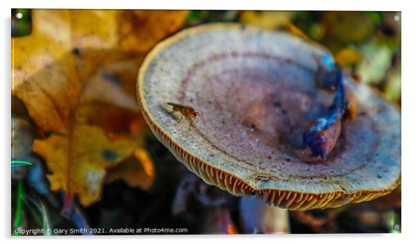 Bug on Colourful Fungi Acrylic by GJS Photography Artist