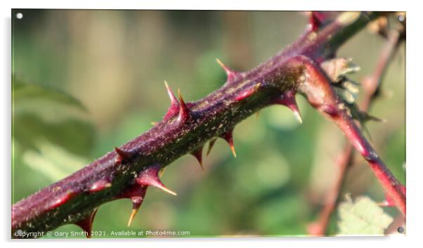 Danger Thorns  Acrylic by GJS Photography Artist