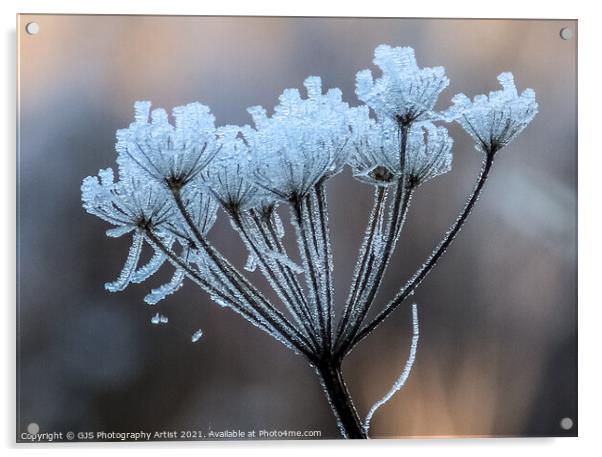 Pretty Frost Acrylic by GJS Photography Artist