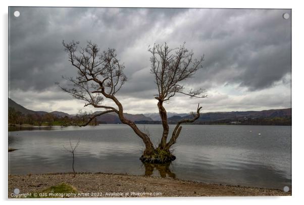 The Tree In Ullswater  Acrylic by GJS Photography Artist